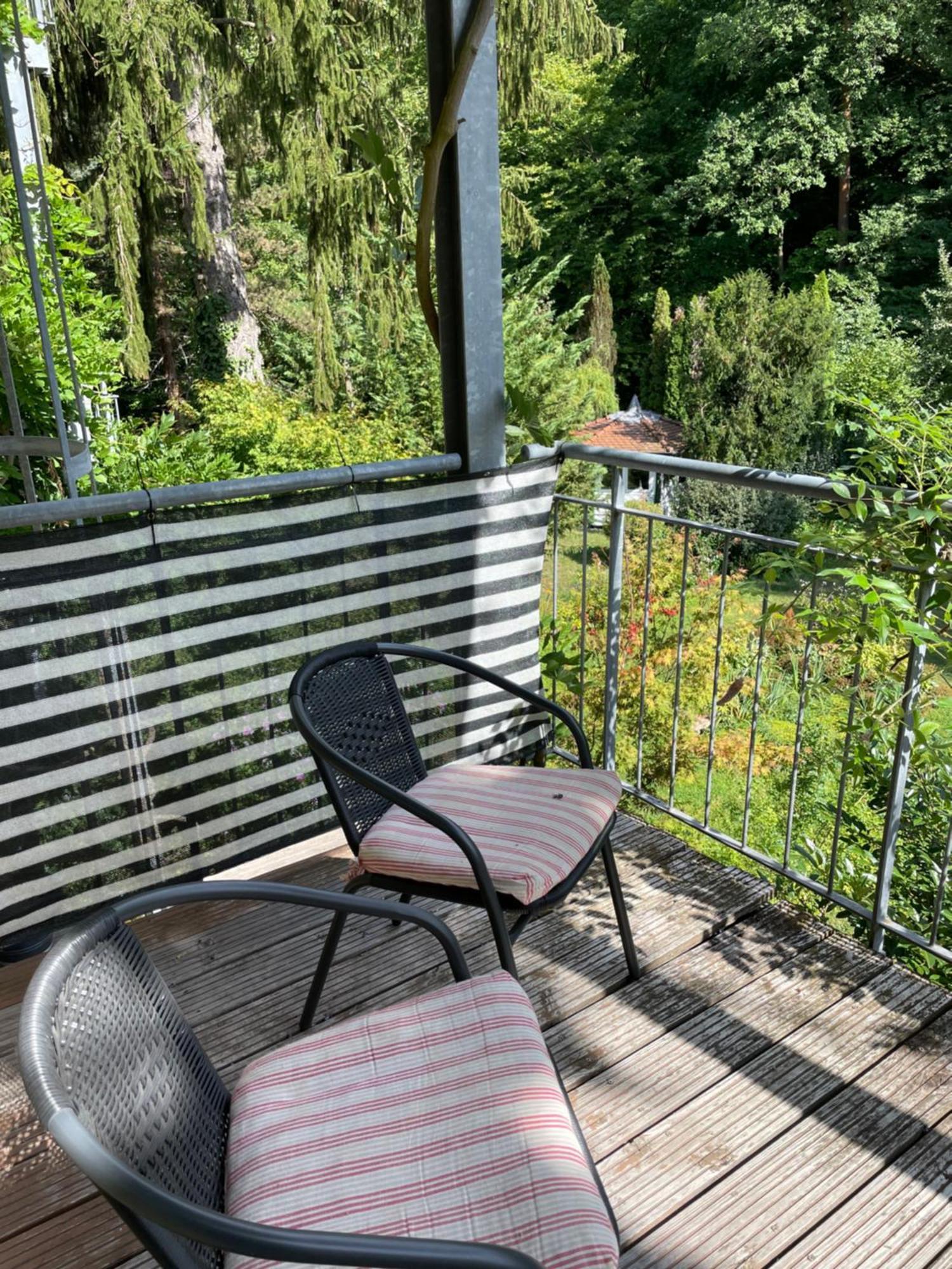 Stadt- Naturnah, Traumblick Und Balkon Baden-Baden Esterno foto